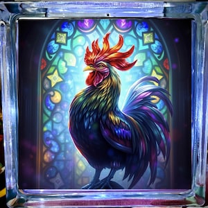 amantes de galinhas galo Vidro luz iluminada exibição decoração para casa