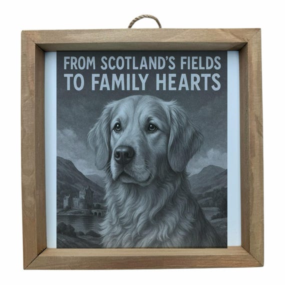 Golden Retriever Dog Wall Frame