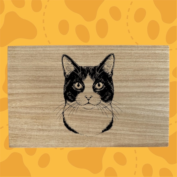 Tuxedo cat themed box