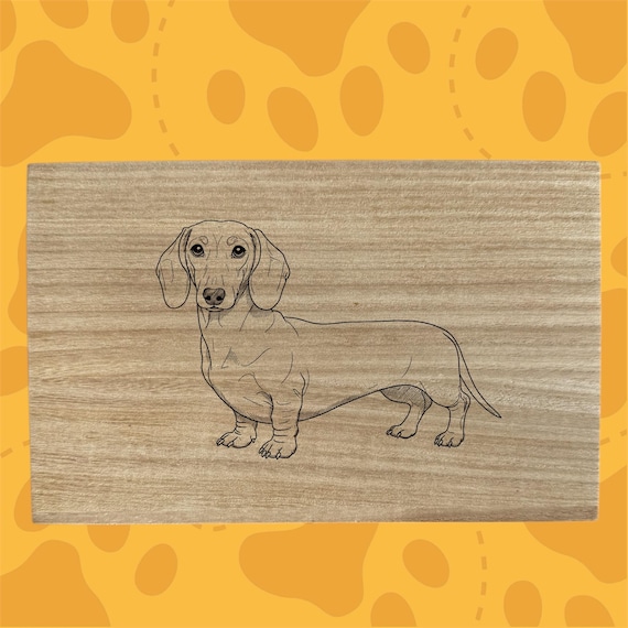 Dachshund Dog themed box