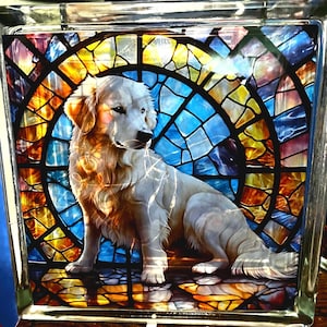 Puede incluir: Un perro blanco con manchas marrones se sienta frente a una ventana de vitrales. La ventana tiene un diseño circular con piezas de vidrio azul, amarillo y rojo. El perro mira hacia la derecha de la imagen.