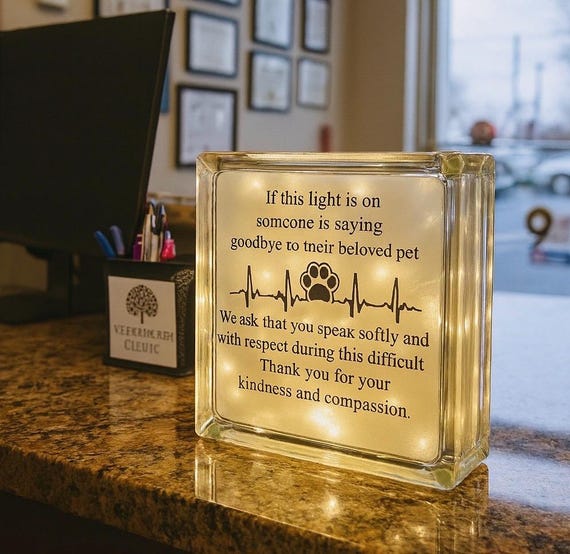 Pet Memorial Light – 7x7 Glass Block Remembrance Keepsake - Etsy