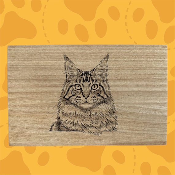 Maine Coon cat themed box