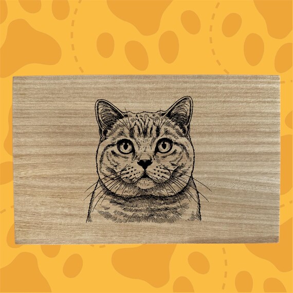 British Shorthair cat themed box