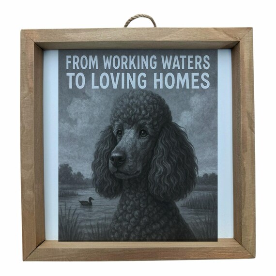 Poodle Dog Wall Frame