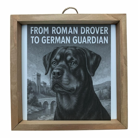 Rottweiler Dog Wall Frame