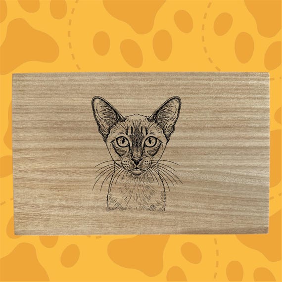 Siamese cat themed box