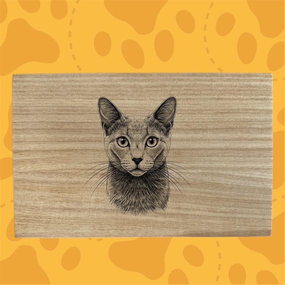 Russian Blue cat themed box