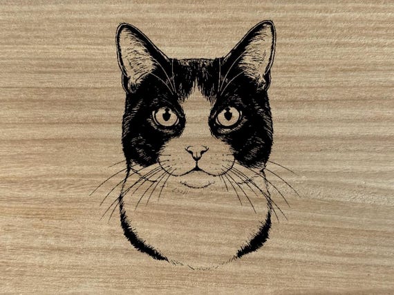 Tuxedo cat themed box