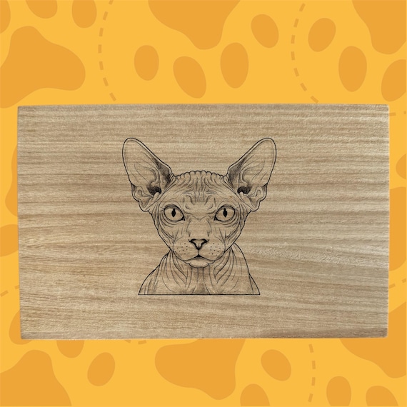 Sphynx cat themed box