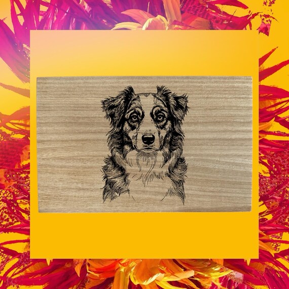 Australian Shephard Dog themed box