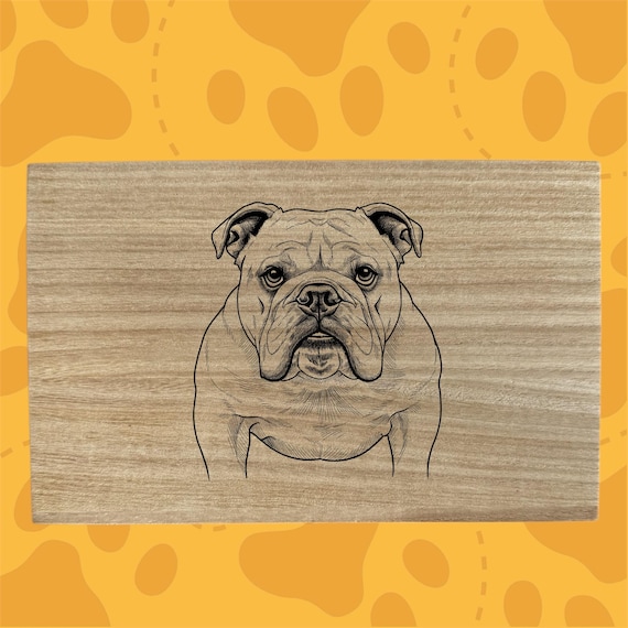 Bulldog Dog themed box