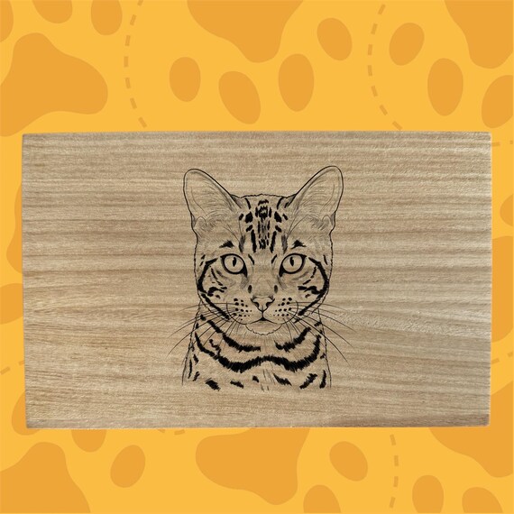 Bengal cat themed box