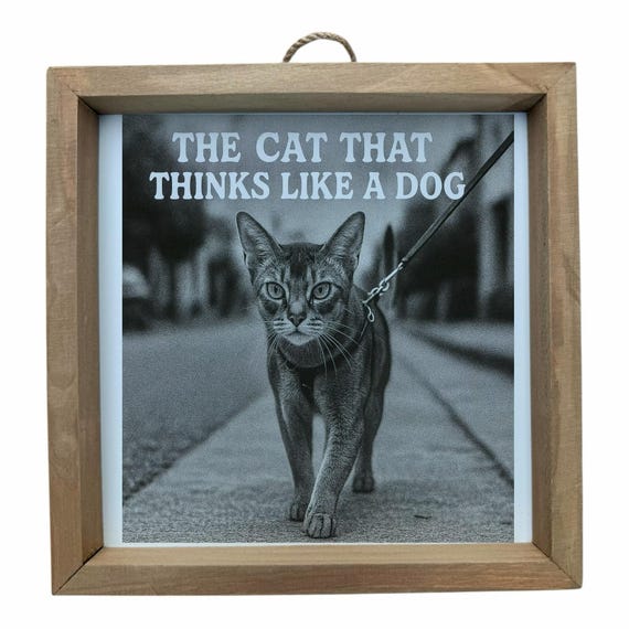 Abyssinian Wall Frame