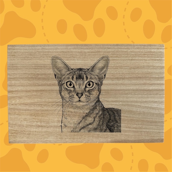 Abyssinian cat themed box