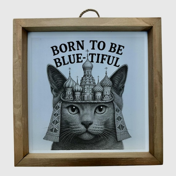 Russian Blue Cat Wall Frame