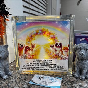 Veterinary Euthanasia Glass light of Compassion heaven rainbow bridge
