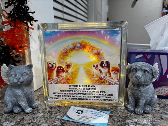 Veterinary Euthanasia Glass light of Compassion heaven rainbow bridge