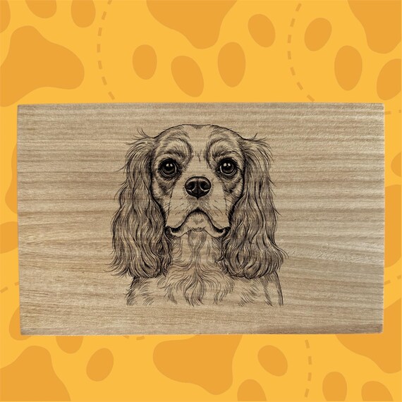 Cavalier King Charles Spaniel Dog themed box