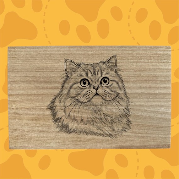 Persian cat themed box