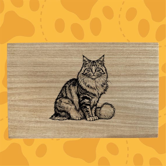 Norwegian forest cat themed box