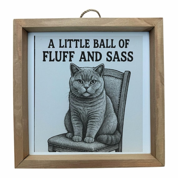 British Shorthair Cat Wall Frame