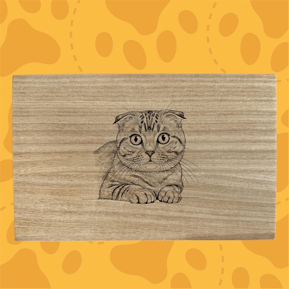 Scottish Fold cat themed box