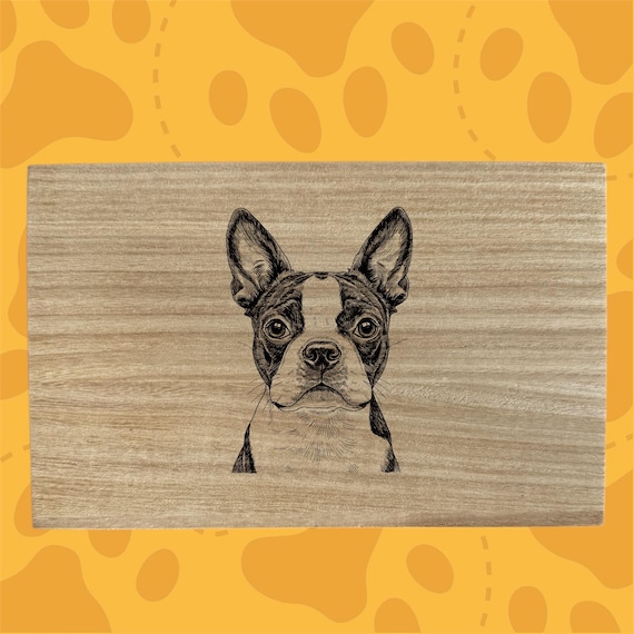 Boston Terrier Dog themed box