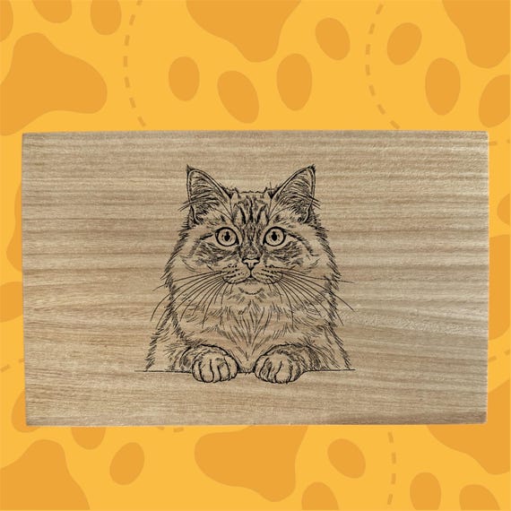 Ragdoll cat themed box