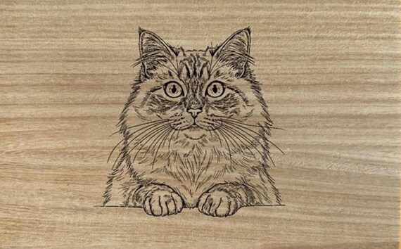 Ragdoll lovers cat wooden gift box