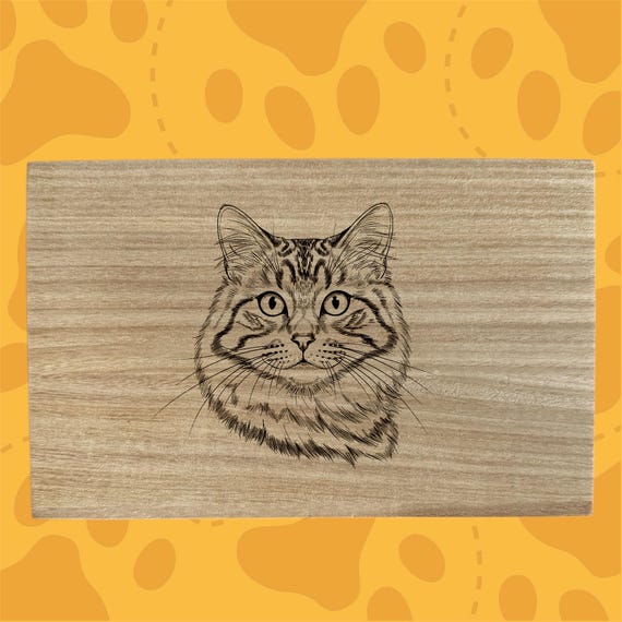 Domestic Longhair cat themed box