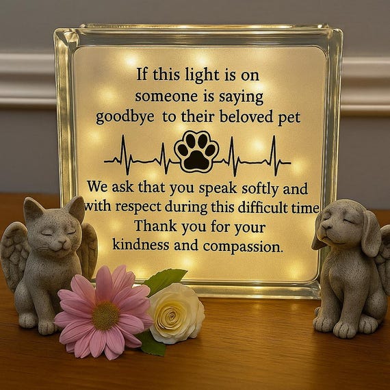 Pet Memorial Light – Custom 7x7 Glass Block – Personalized Pet Loss Gift – Rainbow Bridge Light – Dog or Cat Remembrance Keepsake