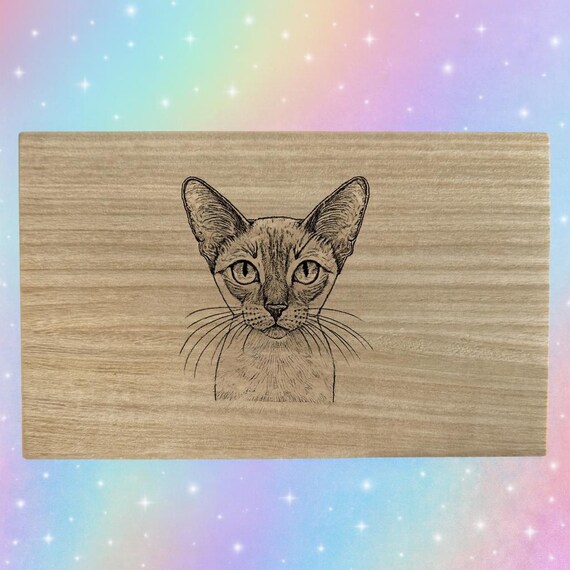 Siamese cat themed box