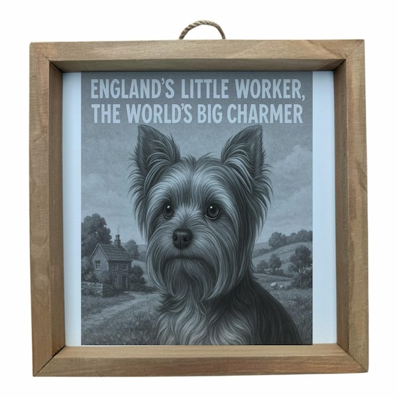 Yorkshire Terrier Dog Wall Frame