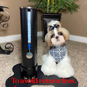 Shih tzu 2025 food bowl