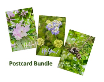 Floral Postcard Bundle