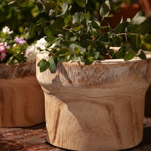 Könnte beinhalten: Zwei Holzpflanzgefäße mit natürlicher Holzmaserung. Eines enthält rosa und weiße Blumen, das andere grüne Blätterpflanzen. Die Pflanzgefäße stehen auf einer Holzoberfläche mit verschwommenem grünem Hintergrund.