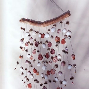 Wind chime with shells