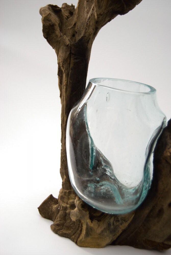 Root Wood Glass Vase [unique Character*] - Etsy