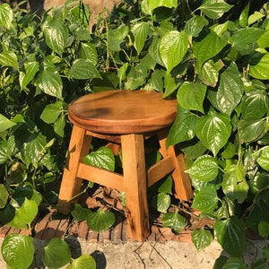 Könnte beinhalten: Ein Holzhocker mit einer runden Sitzfläche und vier Beinen. Der Hocker ist braun und hat eine natürliche Holzoptik. Der Hocker steht auf einer Betonfläche mit grünen Pflanzen, die um ihn herum wachsen.