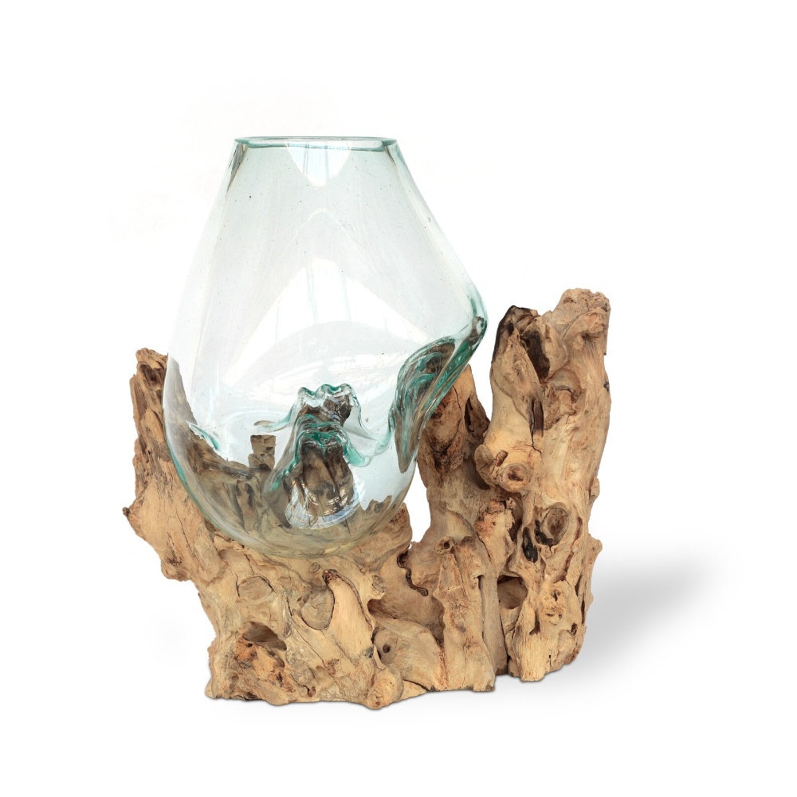 Glass Vase on Root Wood [unique Character*] - Etsy