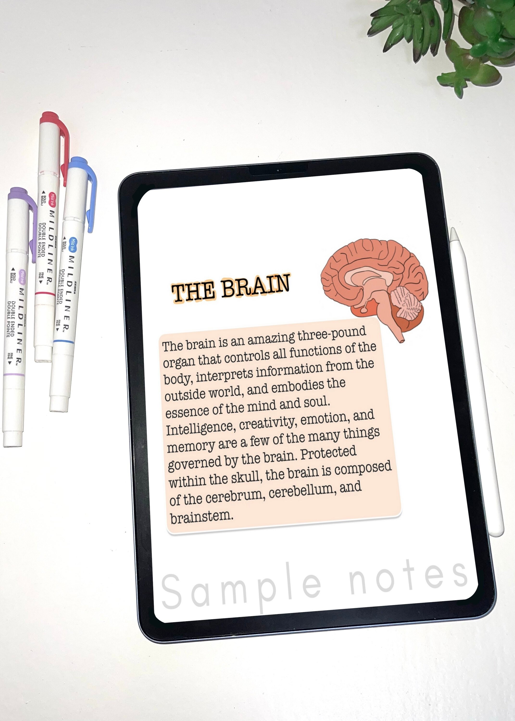 Unlock Anatomy Success: Secret Notability Study Hack - j9sxrxc