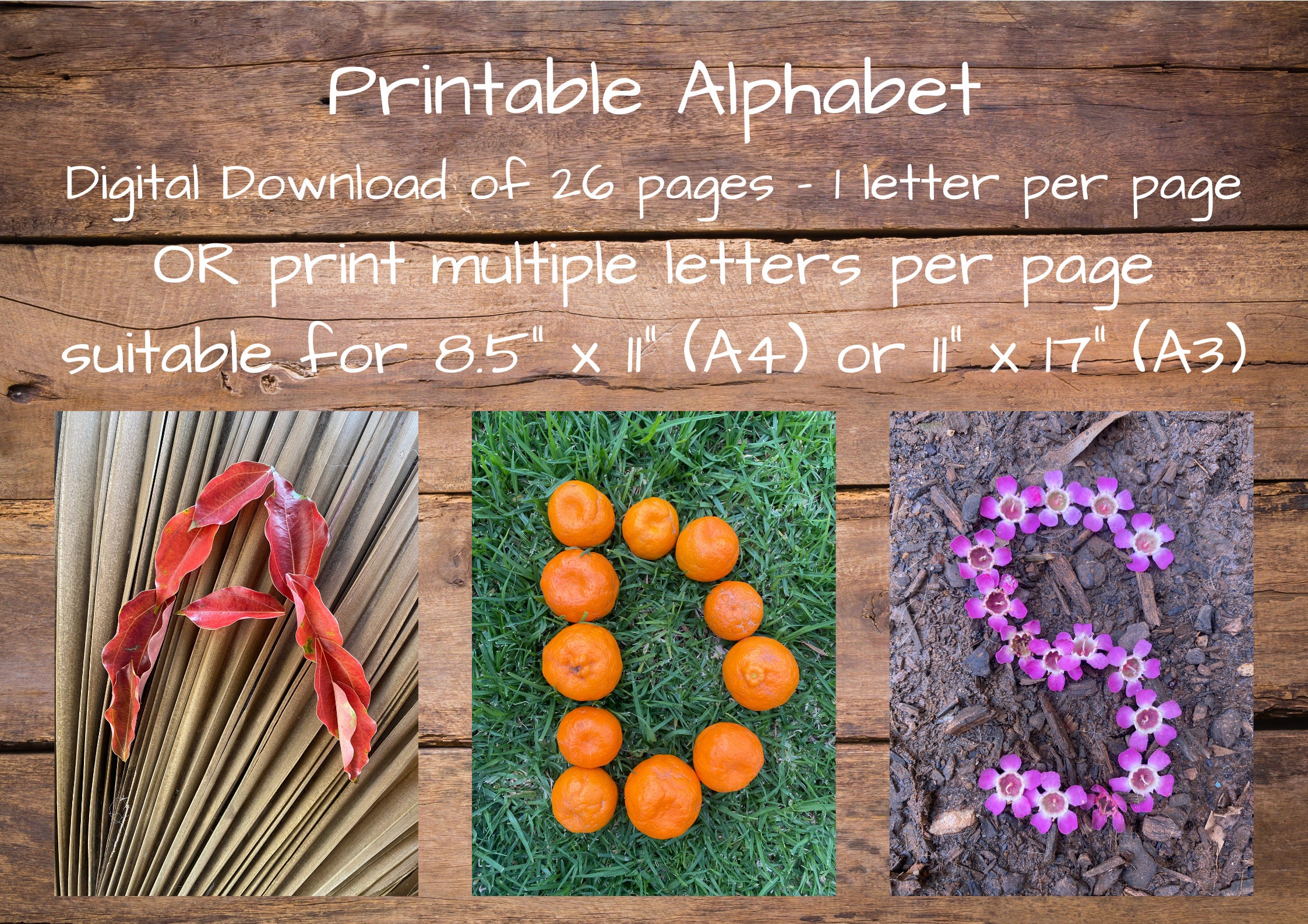 Alphabet Letters, Alphabet Posters, Natures, Alphabet, Natural, Nature
