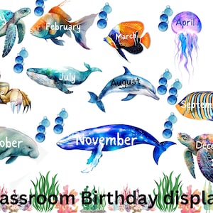 Zeedieren verjaardagsdisplay voor klaslokaal, Sealife student verjaardagsbron, afdrukbare klaslokaal bron voor verjaardagen, Boho klaslokaal