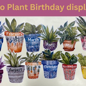 Boho Pot plants birthday display for classroom.  Printable classroom birthdays, Student birthday chart for classroom, classroom resources