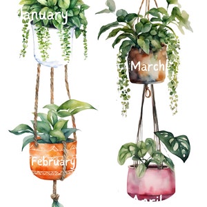 Boho planten Verjaardagsdisplay voor klaslokaal, Verjaardagen in de klas, Boho plantendecor, Schoolverjaardag. Afdrukbare verjaardagsdisplay,