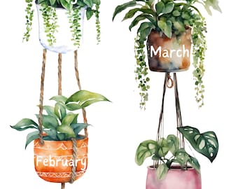 Boho planten Verjaardagsdisplay voor klaslokaal, Verjaardagen in de klas, Boho plantendecor, Schoolverjaardag. Afdrukbare verjaardagsdisplay,