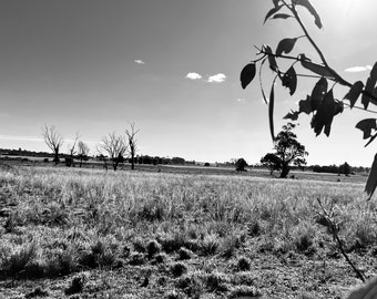 Fotos de la granja