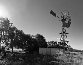 Vida agrícola en BLANCO Y NEGRO
