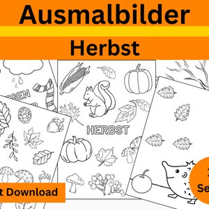Op de afbeelding: Zwart-witte kleurplaten met herfstthema's, waaronder pompoenen, bladeren, eikels en een egel. De tekst op de pagina luidt "Ausmalbilder Herbst" en "Sofot Download".